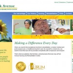 Park Avenue Nursing & Rehabilitation required a complete website redesign to complement their updated brand identity, resulting in a fresh contemporary image, while also preserving their rich history of exceptional nursing care.