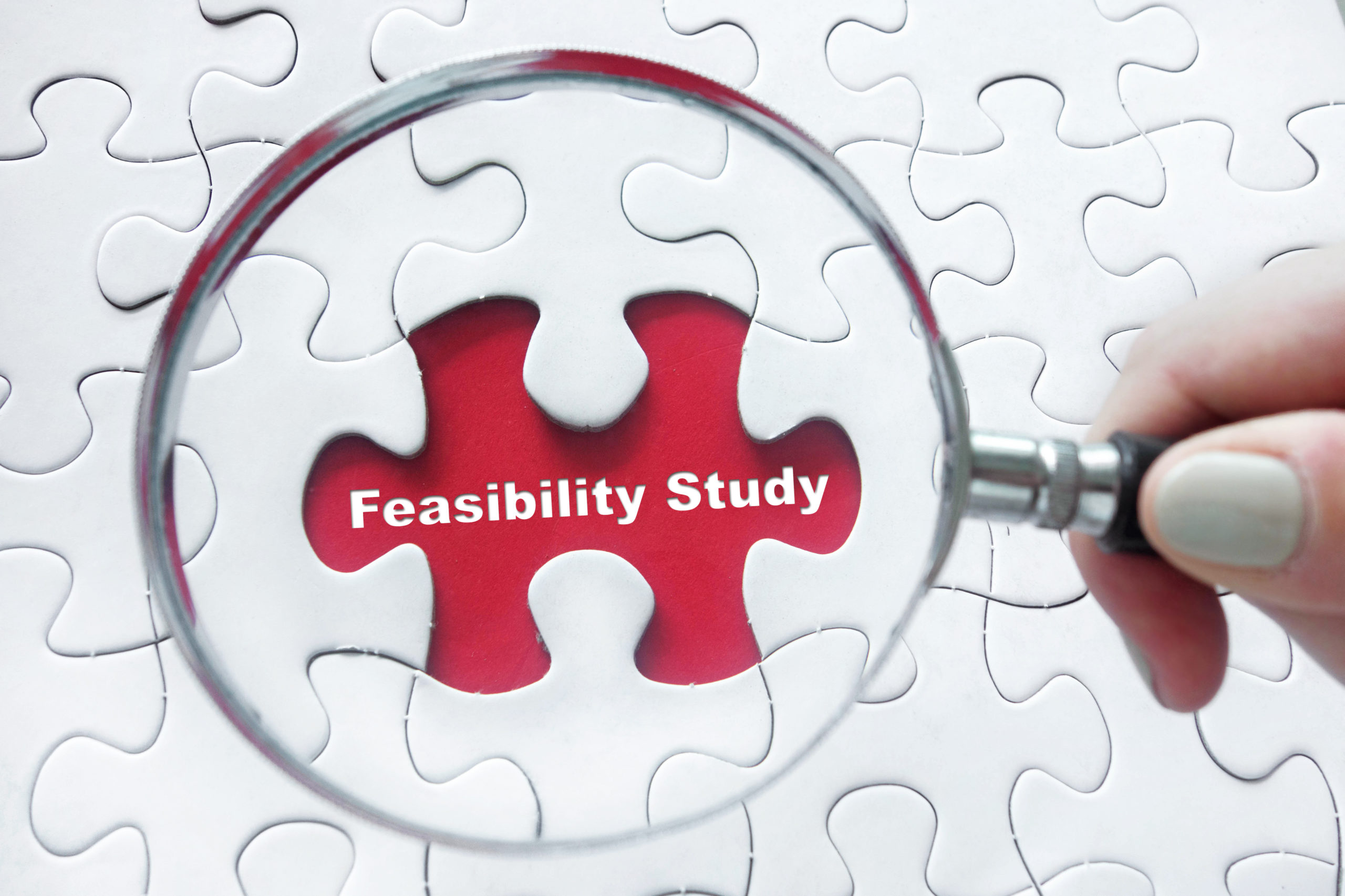 Feasibility Study Puzzle